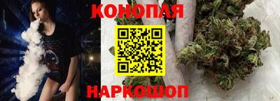 гидра Гай