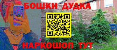 гидра Гай
