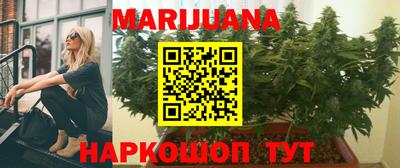 гидра Гай