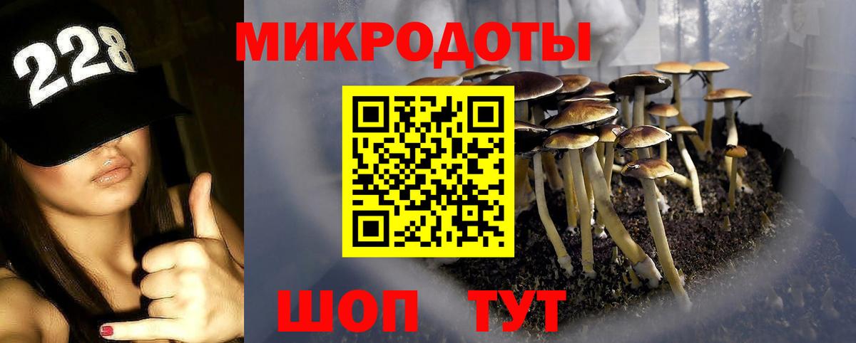 Ковров  купить  цена  Вход с VPN  Галлюциногенные грибы Psilocybine cubensis 